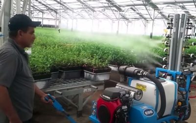 Greenhouses and Electrostatic Spraying Tests